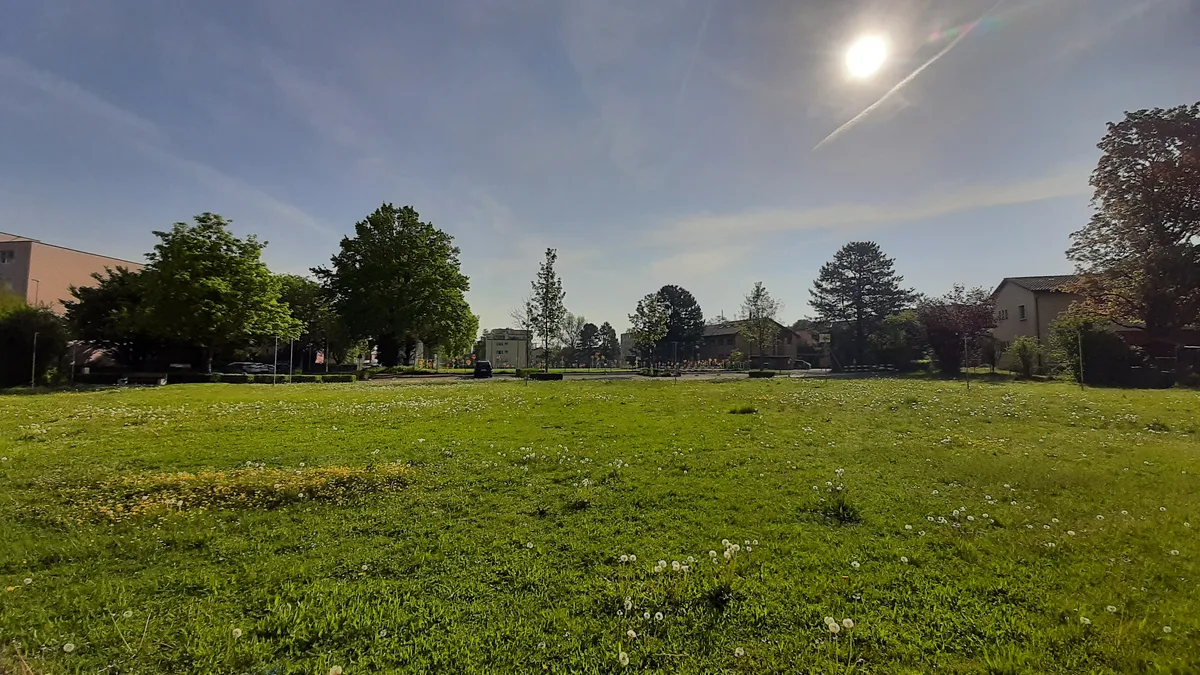 Auf dieser Wiese soll der provisorische Holzmodulbau hingestellt werden. Die Schüler werden die Infrastruktur des benachbarten Schulhauses Sonnenberg mitbenutzen. Eine Wiese, umrandet von Bäumen und Häusern.